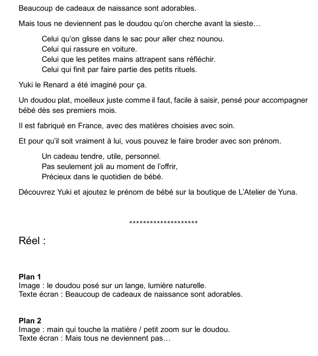 Extrait du script de Reel Instagram conçu pour Yuki le Renard